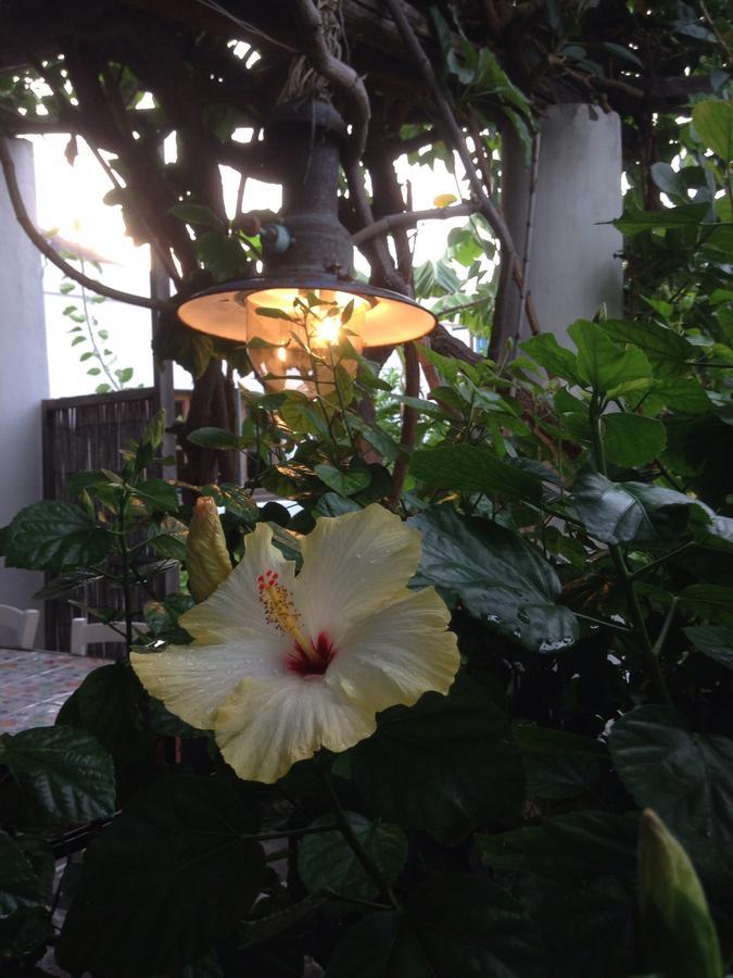Bed & Breakfast La Lampara
